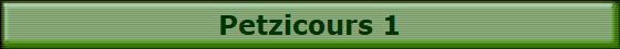 Petzicours 1